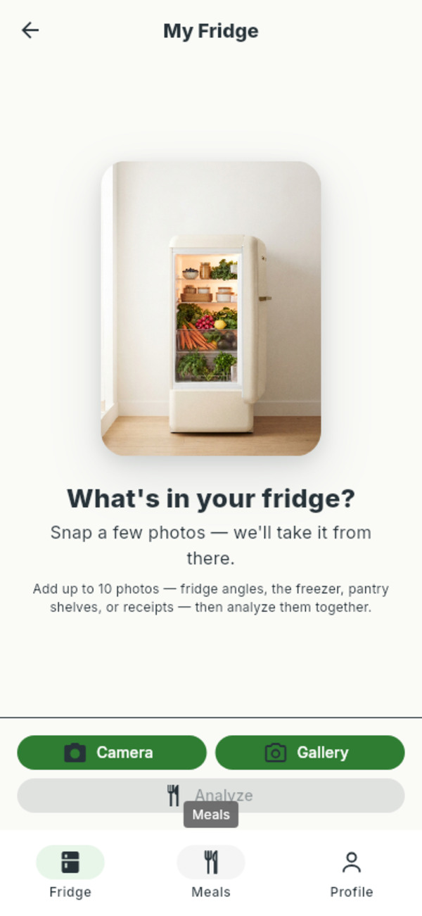 Empty fridge capture screen